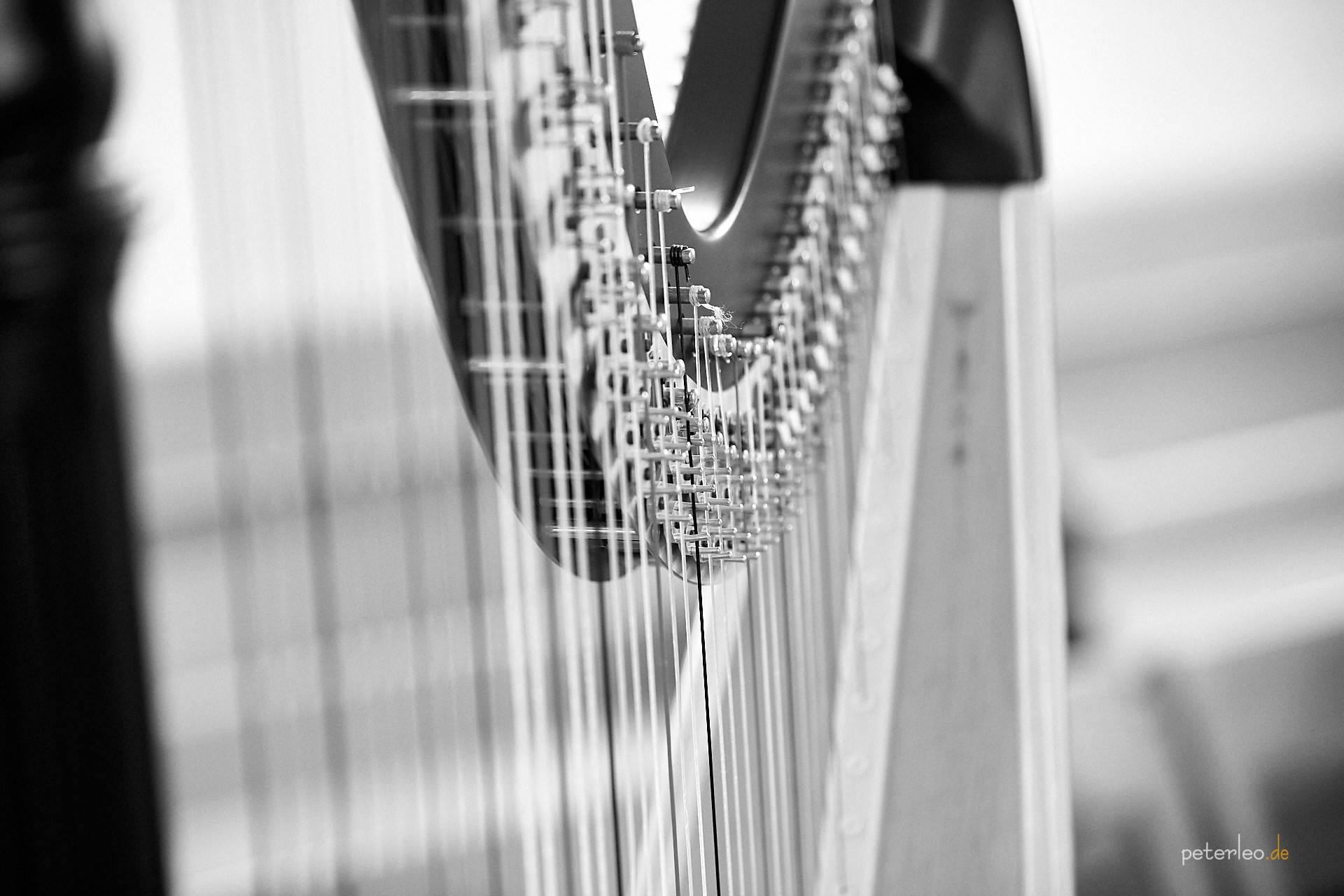 Hochzeit leo photoART